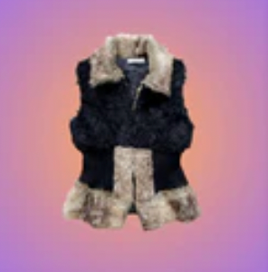 Faux Fur Gilet